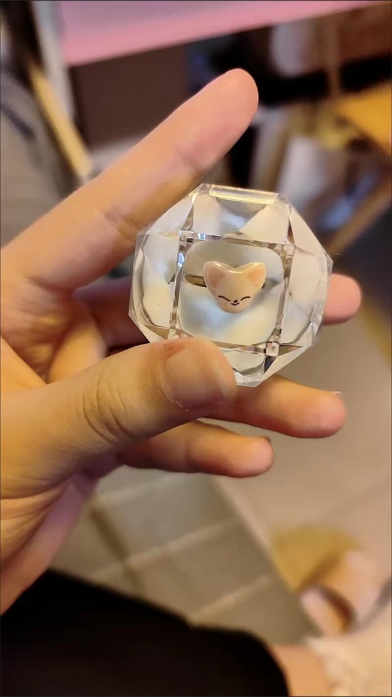 StrayKids SKzoo Acrylic Ring