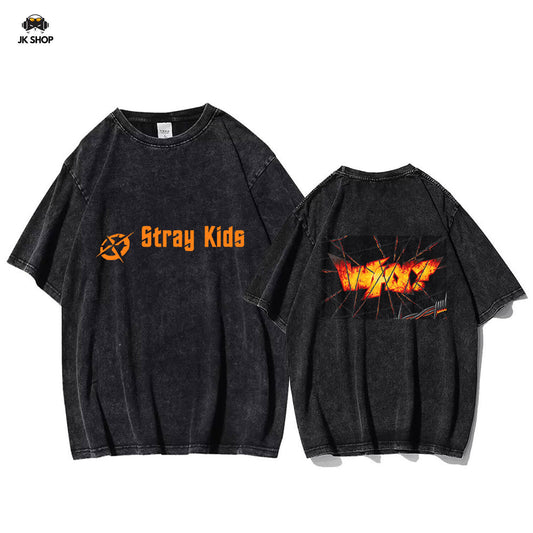 StrayKids WHY? Vintage Washed T-Shirt
